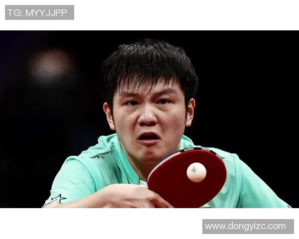 杭州乒乓球队精英赛背后的拼搏故事与荣耀之路